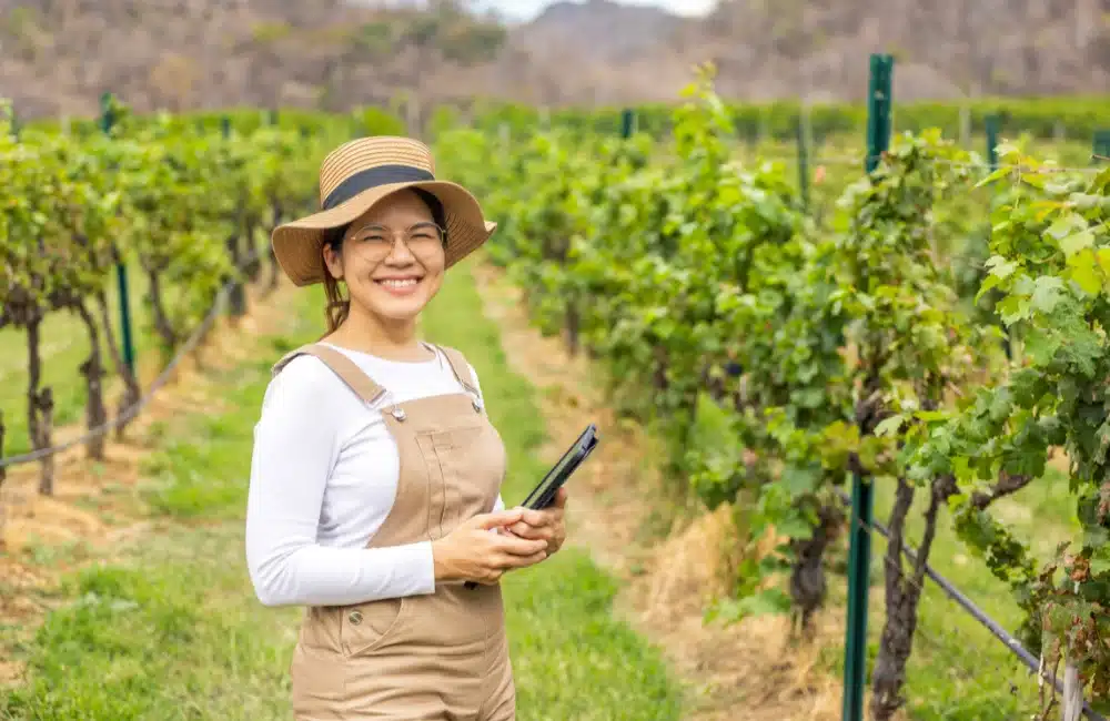 สรุปสัญญาขายฝากหมดอายุ