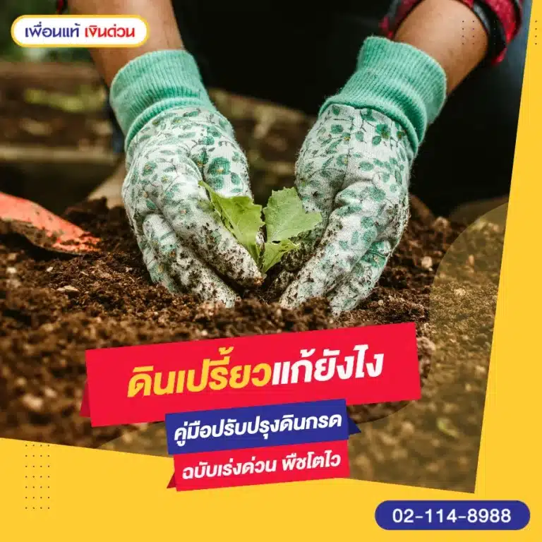 ดินเปรี้ยวแก้ยังไง