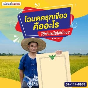 โฉนด ครุฑเขียว คืออะไร
