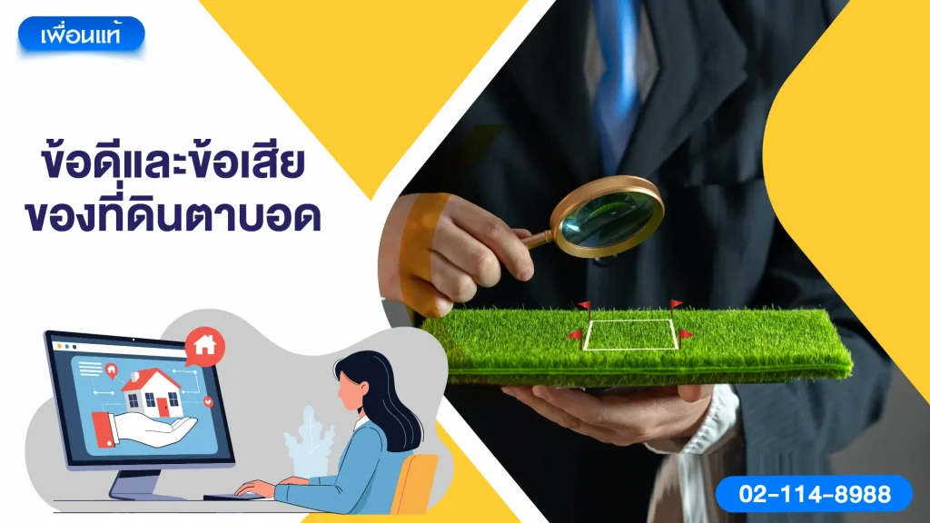 ข้อดีและข้อเสียของที่ดินตาบอด