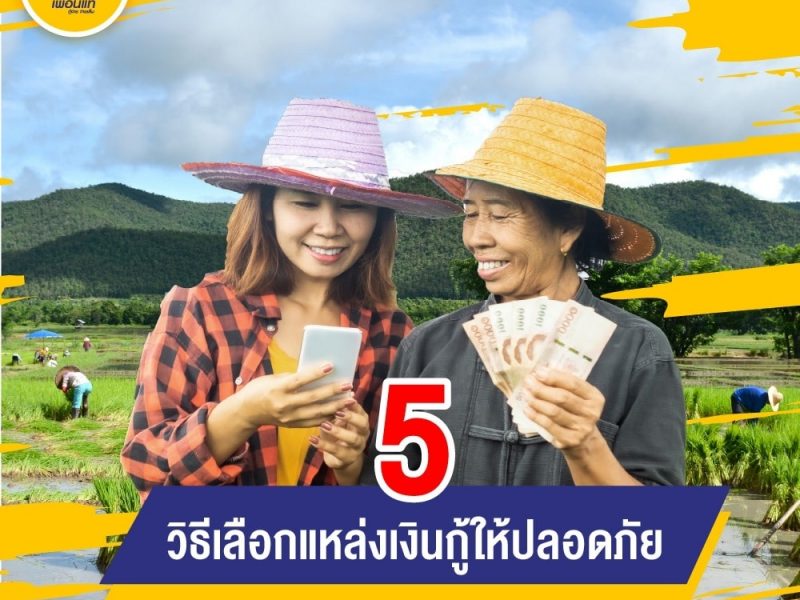 แหล่งเงินกู้, เงินกู้ถูกกฎหมาย, บริการเงินด่วน