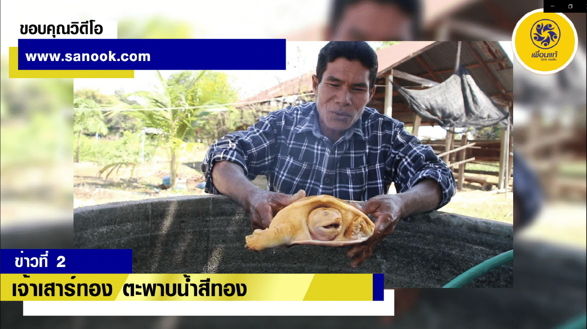 เลขเด็ด 1 3 64