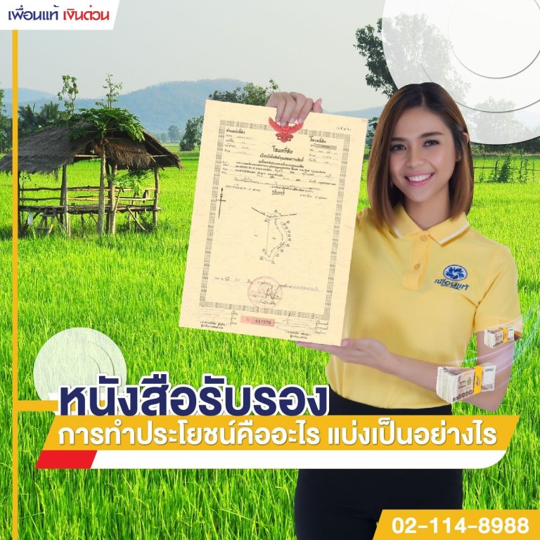 น.ส. 3 ก., น.ส. 3, โฉนดที่ดิน