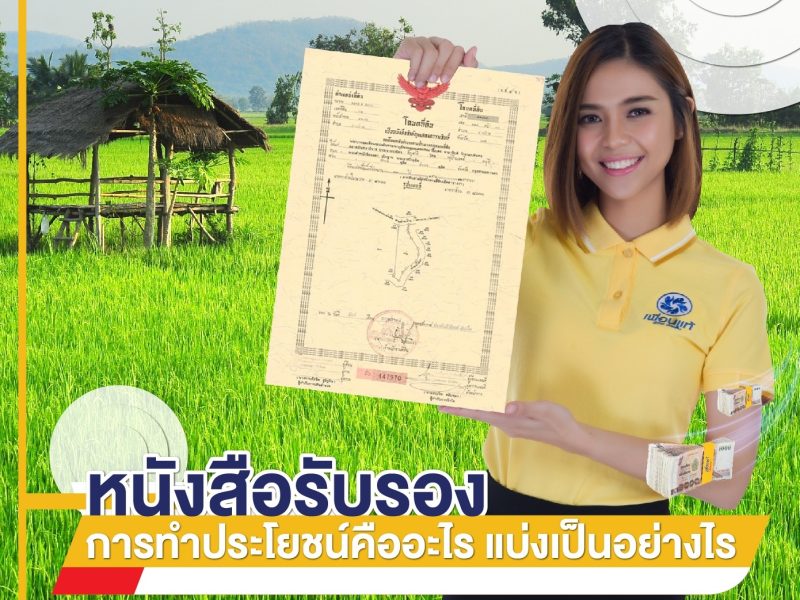 น.ส. 3 ก., น.ส. 3, โฉนดที่ดิน
