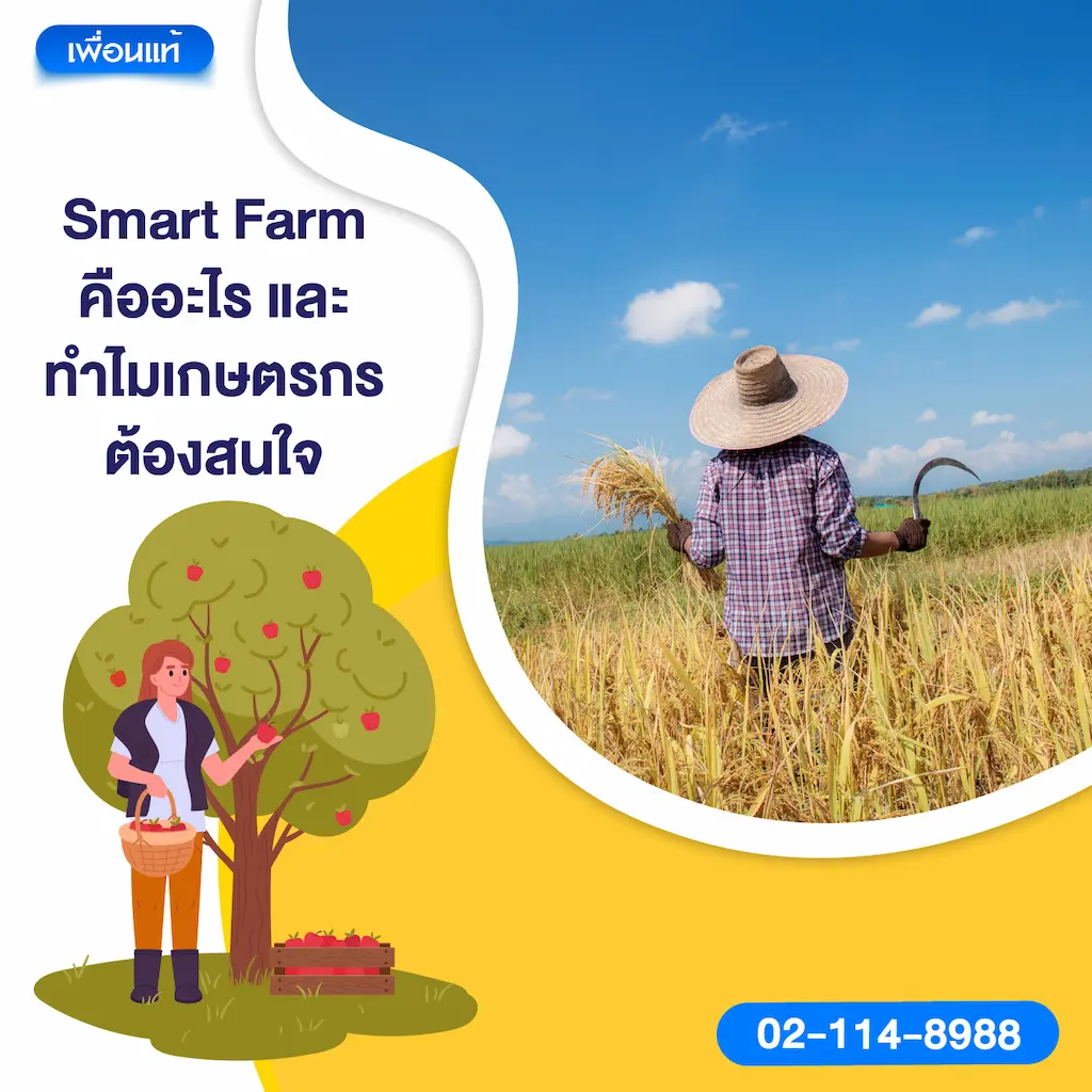 Smart Farm คืออะไร และทำไมเกษตรกรต้องสนใจ
