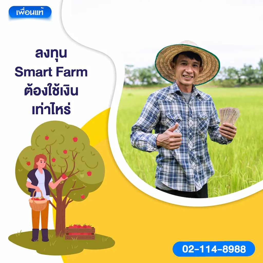 ลงทุน Smart Farm ต้องใช้เงินเท่าไหร่
