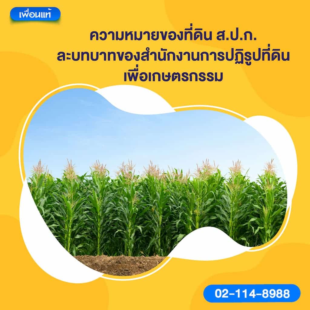 ความหมายของที่ดิน ส.ป.ก. และบทบาทของ สำนักงานการปฏิรูปที่ดินเพื่อเกษตรกรรม