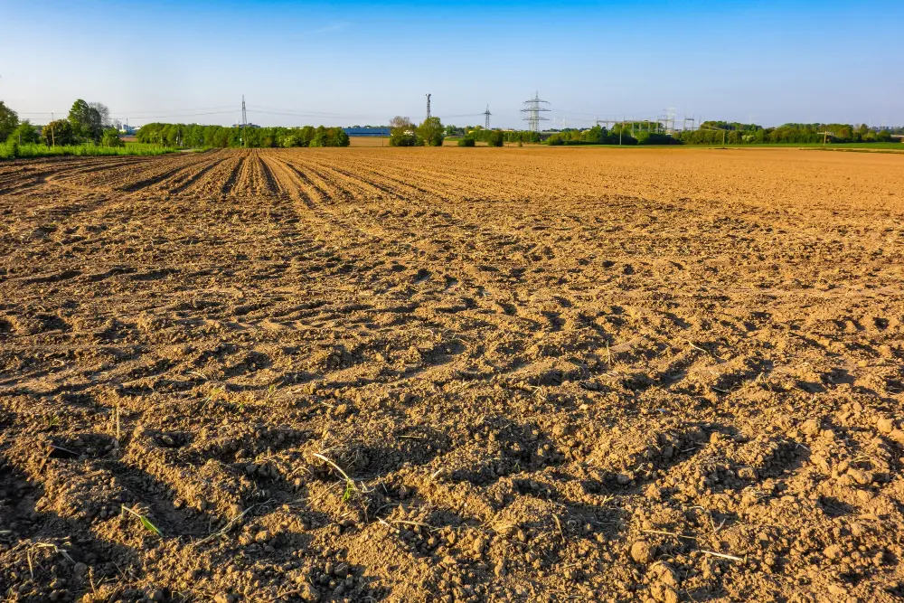 กรม บังคับ คดี ที่ดิน ขายทอดตลาด