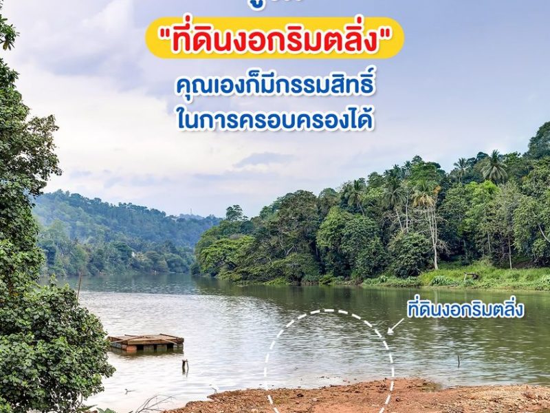 ที่ดินงอกริมตลิ่ง