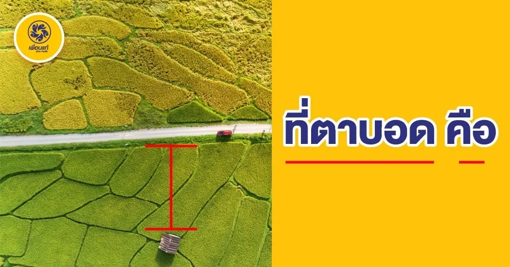 ที่ดินตาบอดคืออะไร