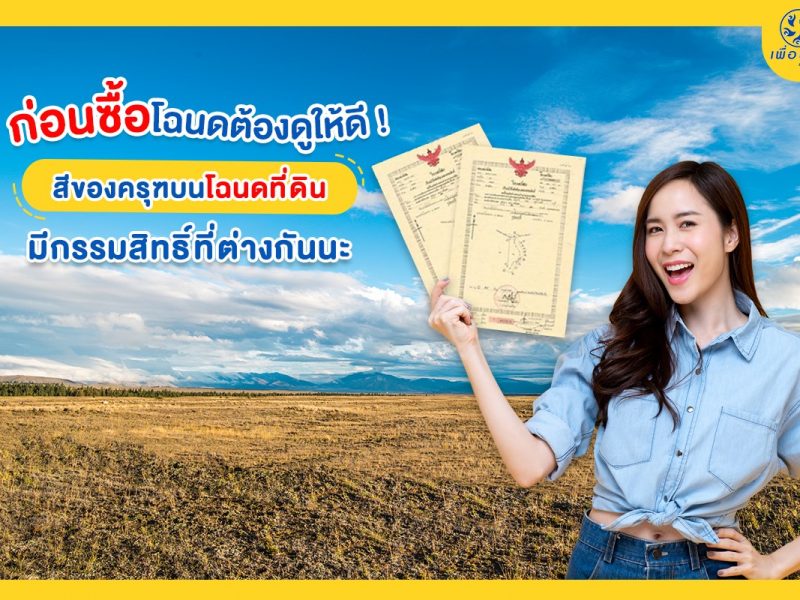 สีตราครุฑ, ตราครุฑสีแดง, ตราครุฑสีเขียว, ตราครุฑสีดำ